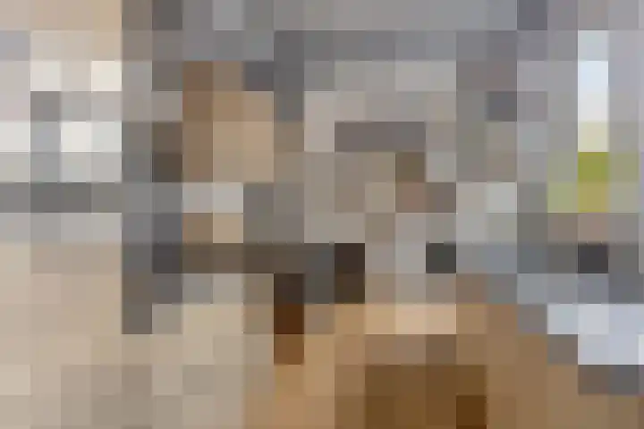 Oranjestraat 25 Venlo thumbnail 10