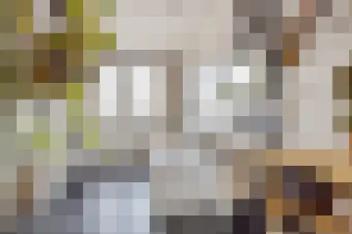 Oranjestraat 25 Venlo thumbnail 16