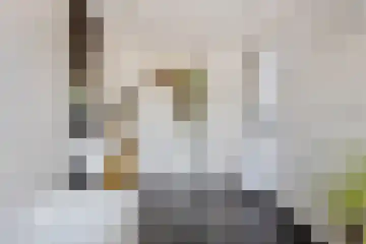 Oranjestraat 25 Venlo thumbnail 18