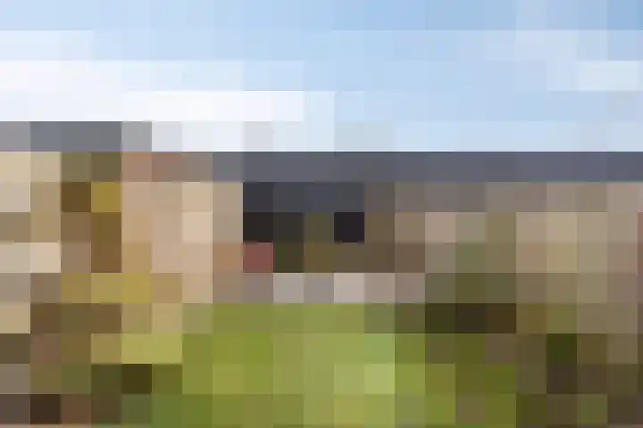 Oranjestraat 25 Venlo thumbnail 22
