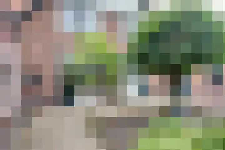 Oranjestraat 25 Winschoten thumbnail 8