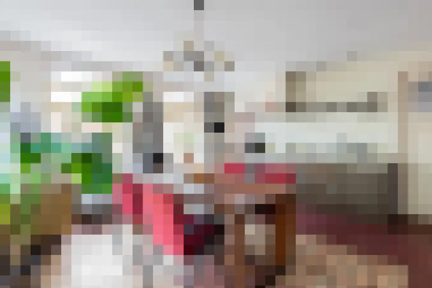 Oranjestraat 27 Assen thumbnail 17
