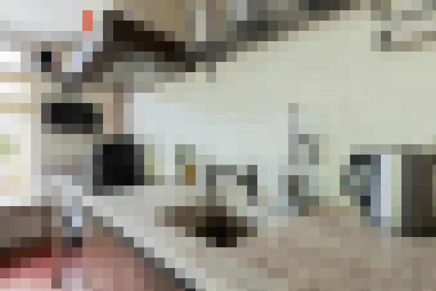 Oranjestraat 27 Assen thumbnail 22