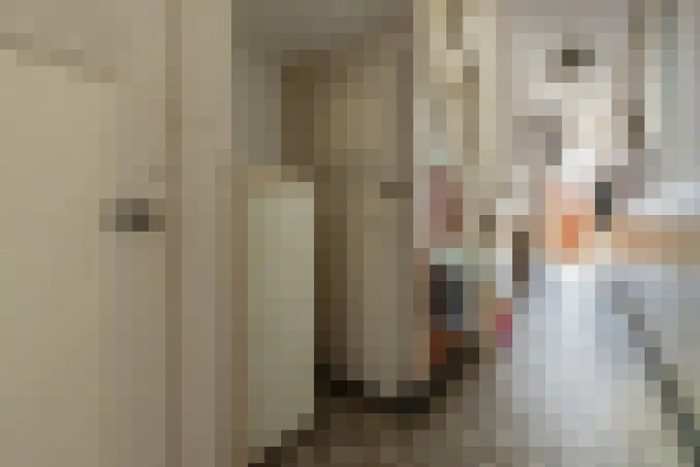 Oranjestraat 27 Assen thumbnail 26