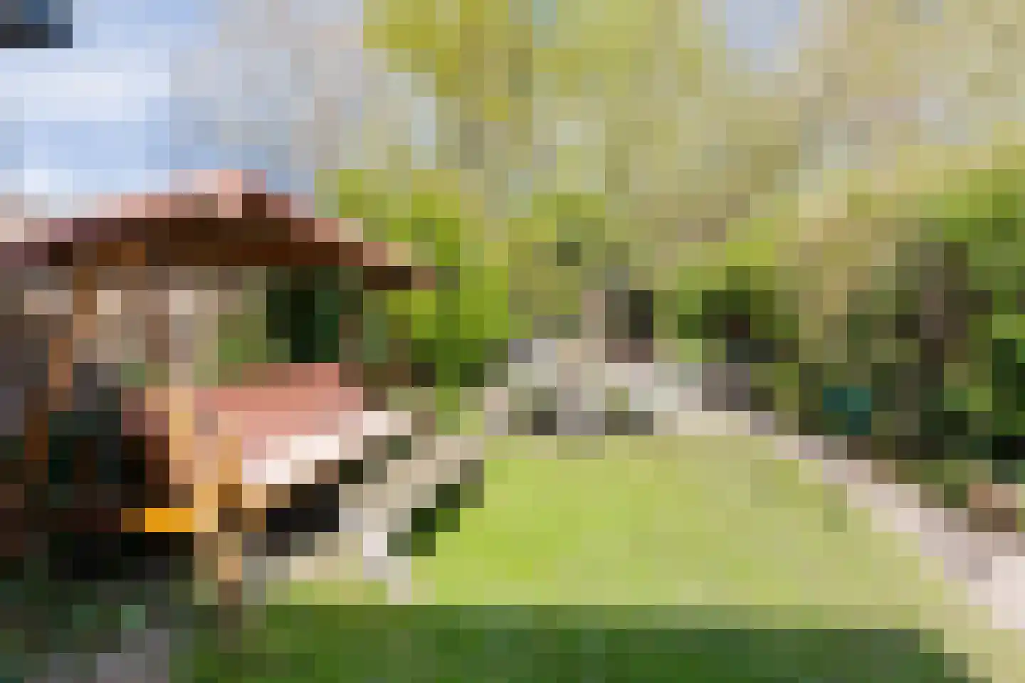Oranjestraat 27 Assen thumbnail 61