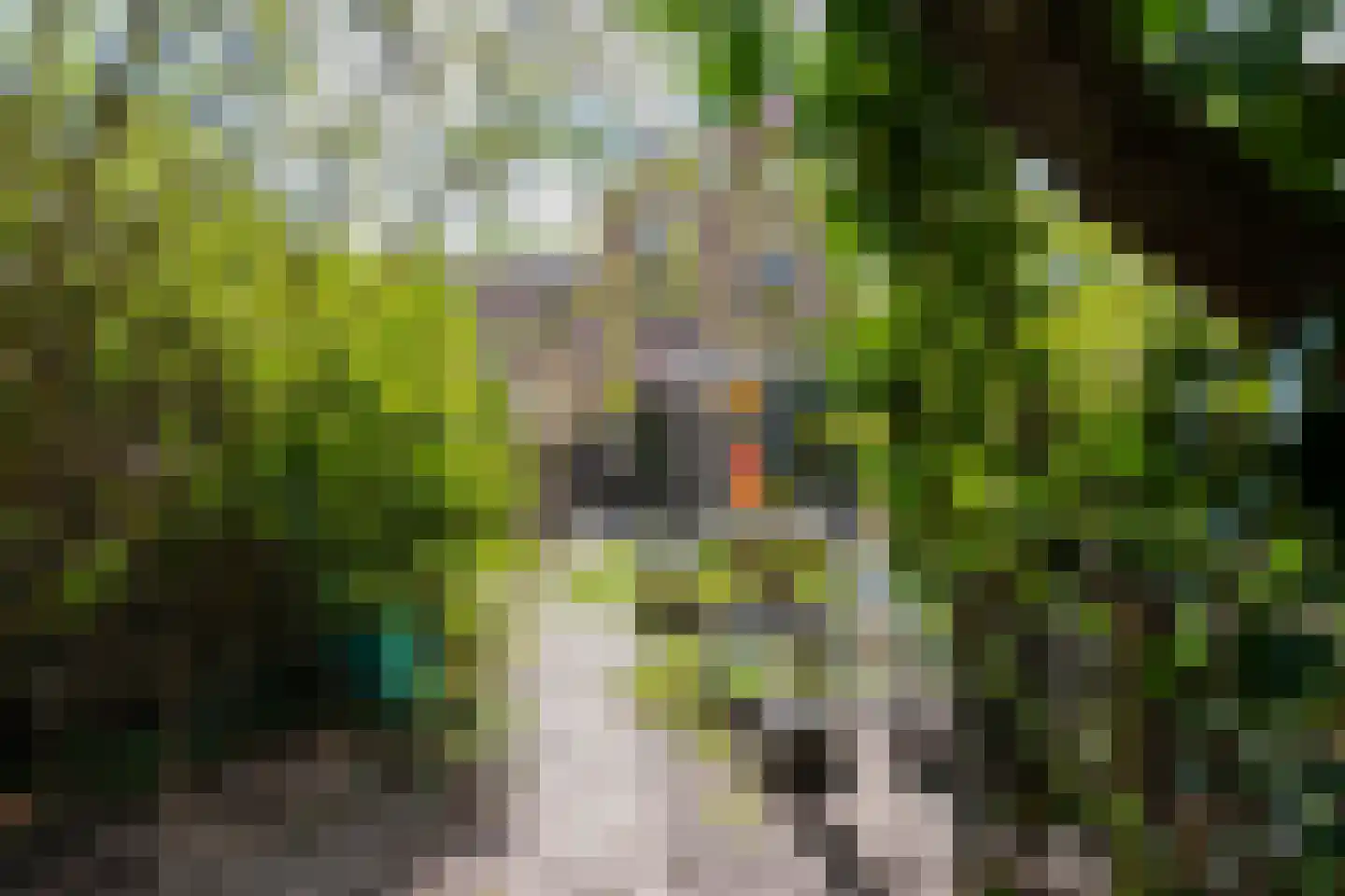 Oranjestraat 27 Assen thumbnail 64
