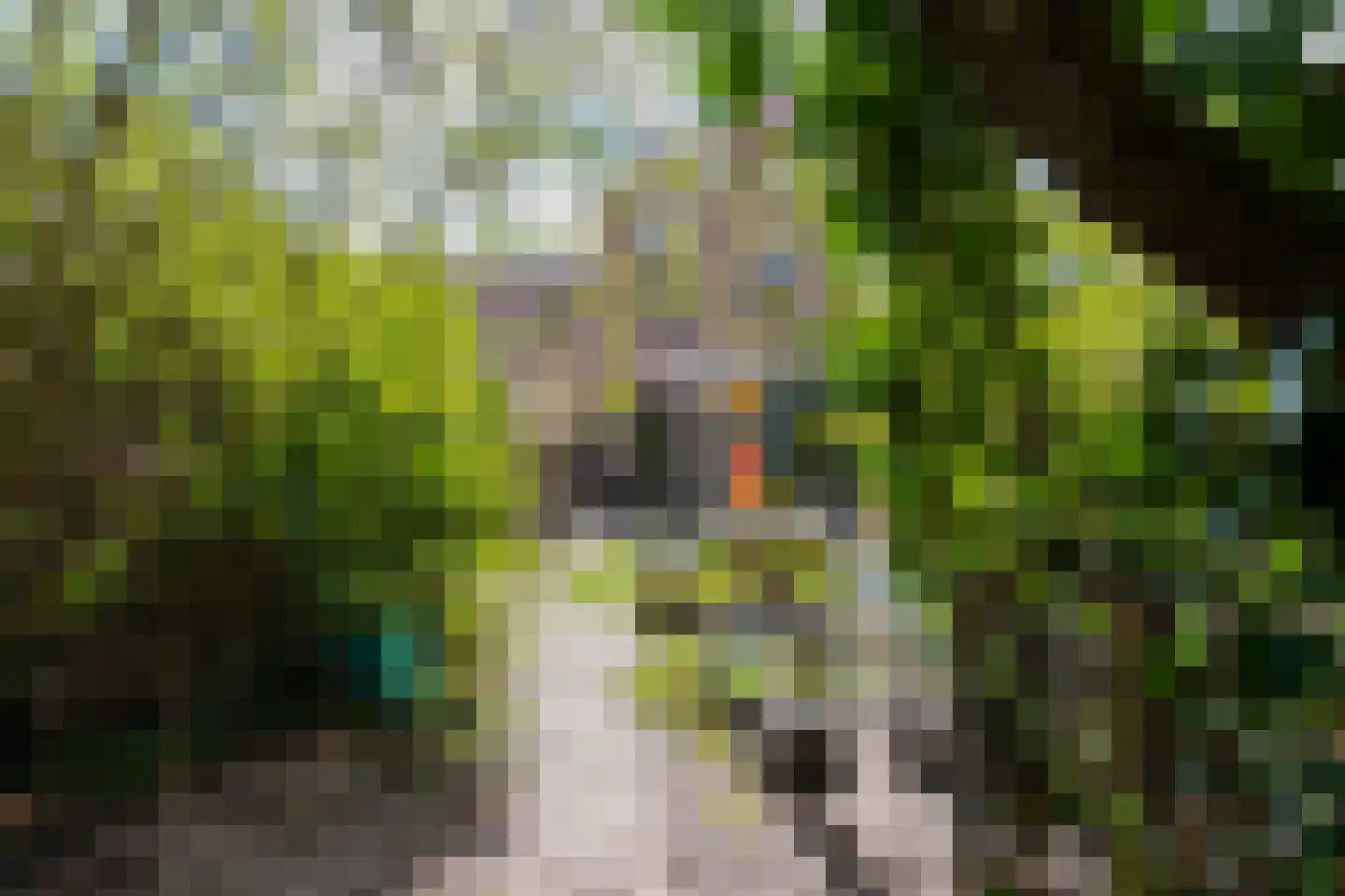 Oranjestraat 27 Assen thumbnail 65