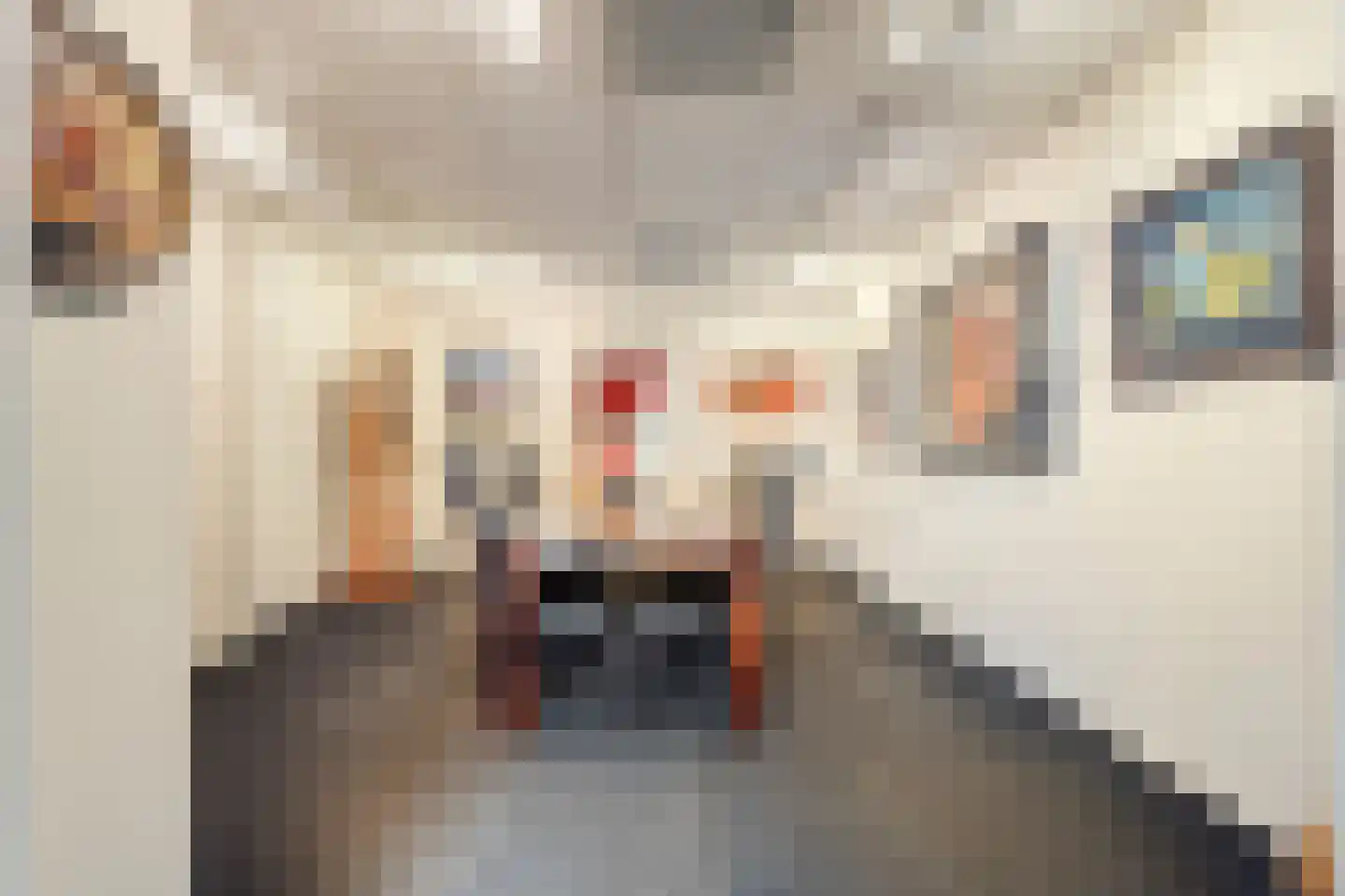 Oranjestraat 29 Holten thumbnail 21