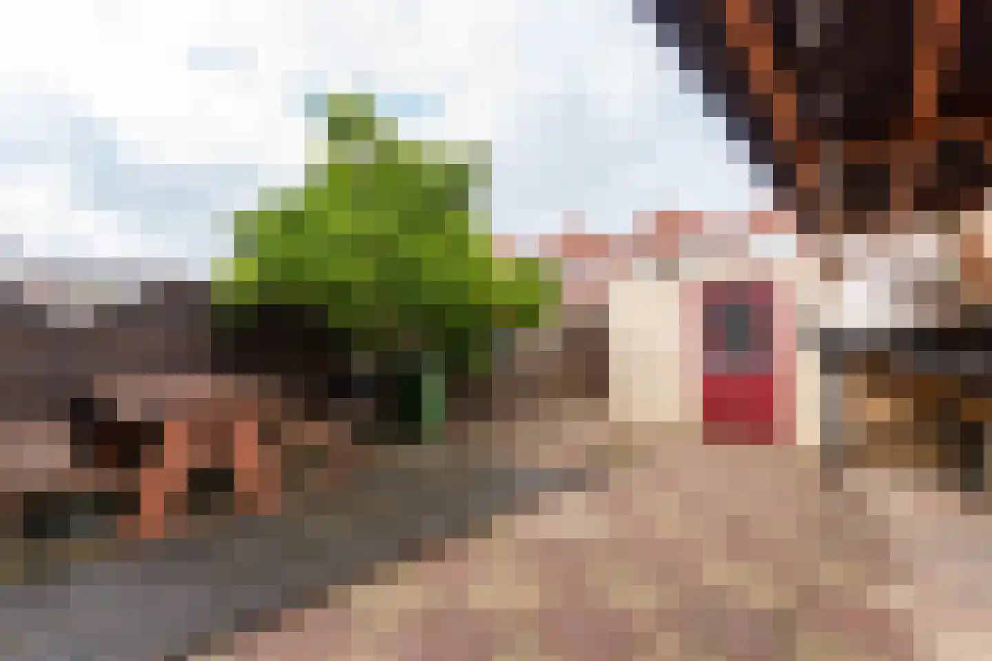 Oranjestraat 29 Rotterdam thumbnail 18