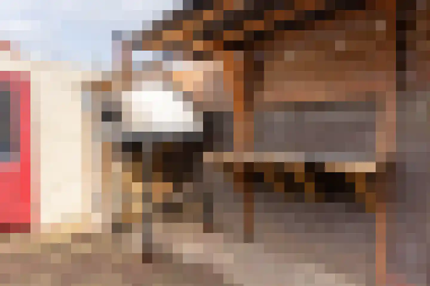 Oranjestraat 29 Rotterdam thumbnail 19