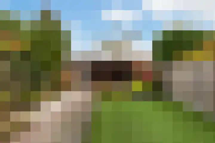 Oranjestraat 3 B Apeldoorn thumbnail 30