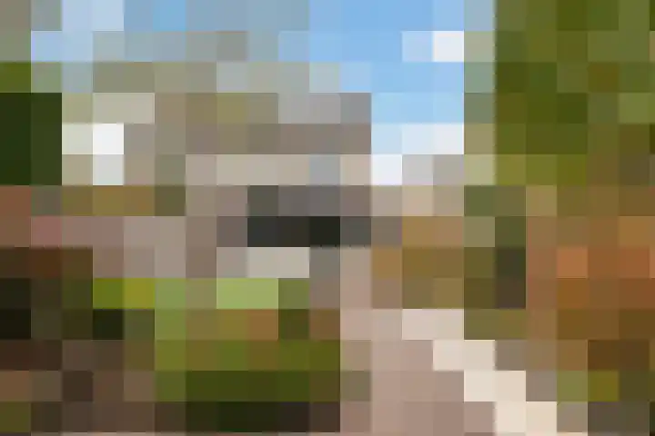 Oranjestraat 3 B Apeldoorn thumbnail 32