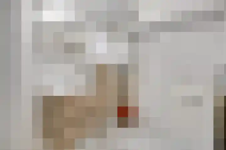 Oranjestraat 3 d Velp thumbnail 29