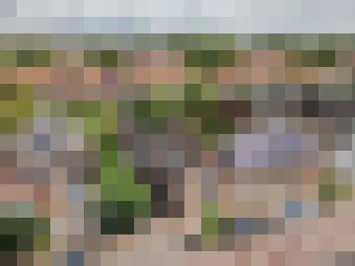 Oranjestraat 3 Raamsdonksveer thumbnail 11