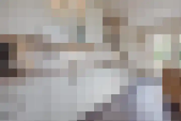 Oranjestraat 3 Raamsdonksveer thumbnail 19