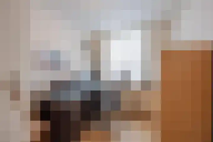 Oranjestraat 3 Raamsdonksveer thumbnail 29