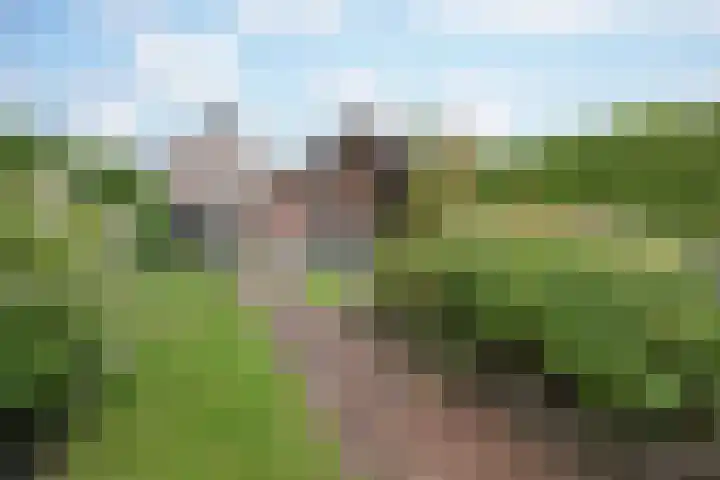 Oranjestraat 3 Raamsdonksveer thumbnail 36