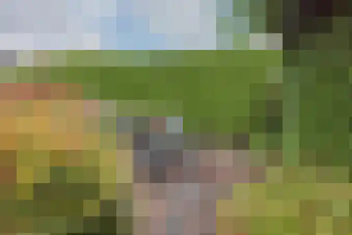 Oranjestraat 3 Raamsdonksveer thumbnail 37