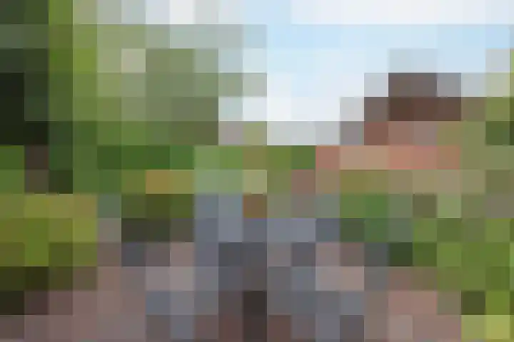 Oranjestraat 3 Raamsdonksveer thumbnail 38
