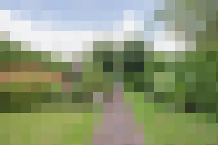 Oranjestraat 3 Raamsdonksveer thumbnail 40