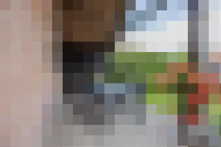 Oranjestraat 3 Raamsdonksveer thumbnail 41