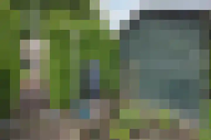 Oranjestraat 3 Raamsdonksveer thumbnail 48