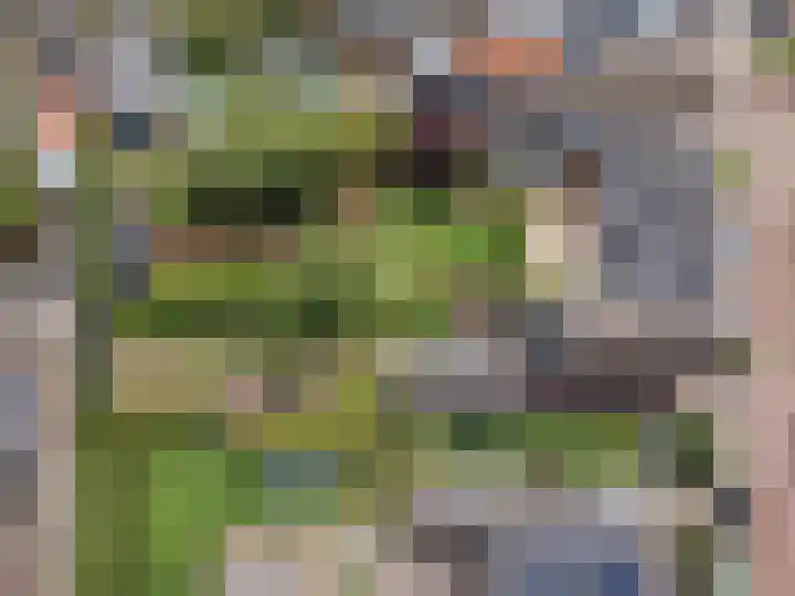 Oranjestraat 3 Raamsdonksveer thumbnail 49