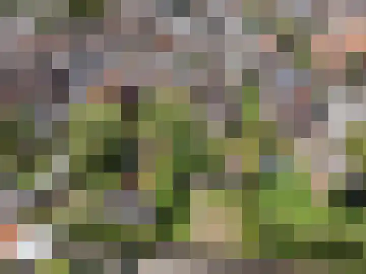 Oranjestraat 3 Raamsdonksveer thumbnail 50