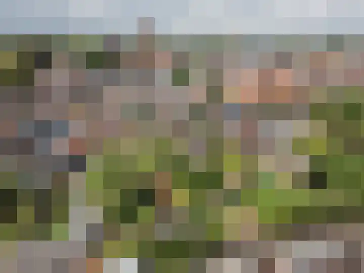 Oranjestraat 3 Raamsdonksveer thumbnail 51