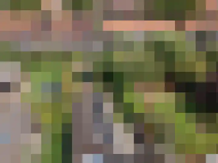 Oranjestraat 3 Raamsdonksveer thumbnail 52