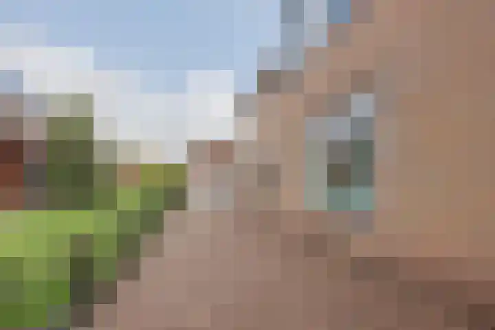Oranjestraat 3 Raamsdonksveer thumbnail 9
