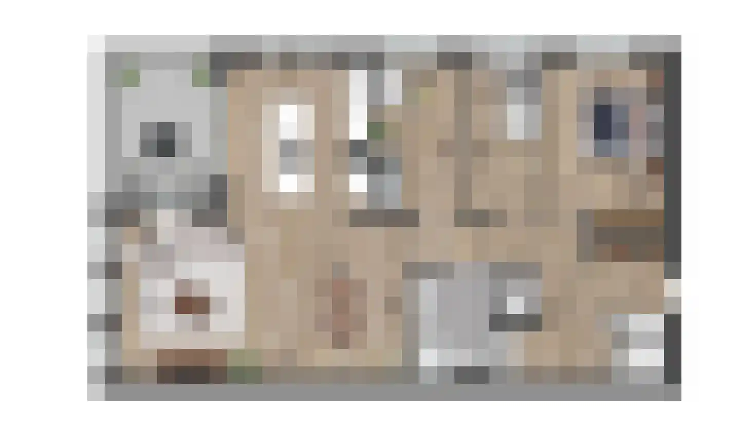 Oranjestraat 3 Varsseveld thumbnail 5
