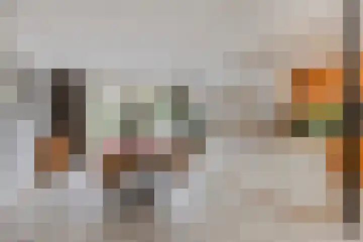Oranjestraat 3 Venray thumbnail 12