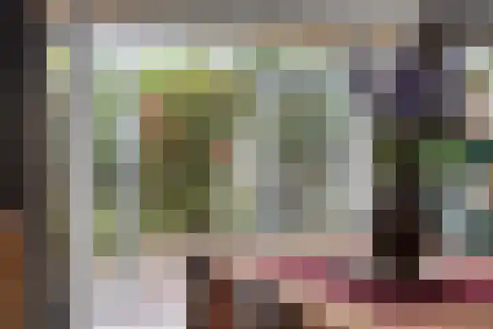 Oranjestraat 3 Venray thumbnail 15