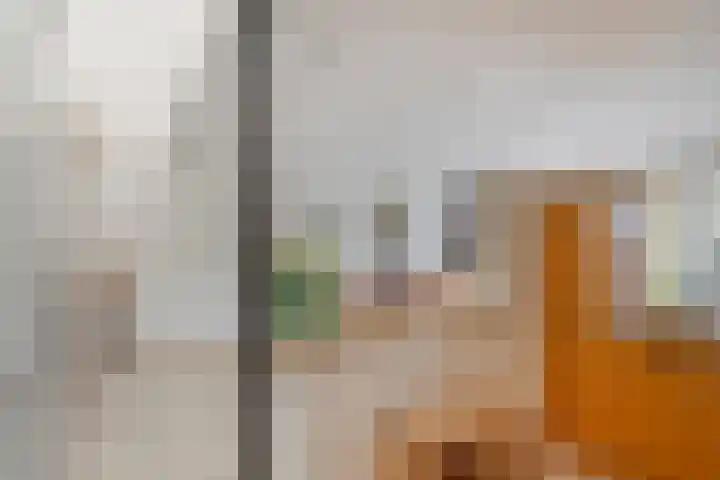 Oranjestraat 3 Venray thumbnail 16