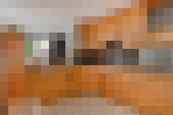 Oranjestraat 3 Venray thumbnail 17