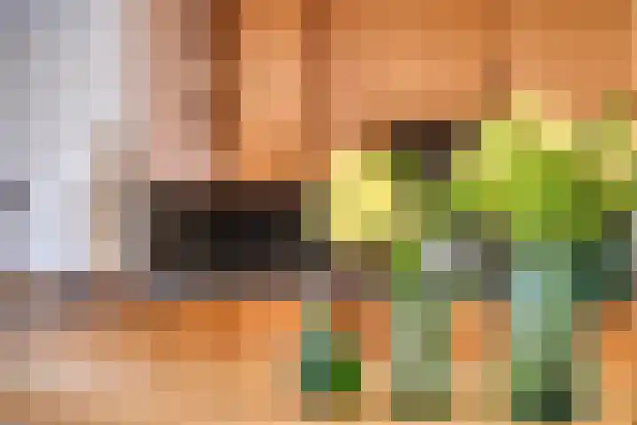 Oranjestraat 3 Venray thumbnail 21