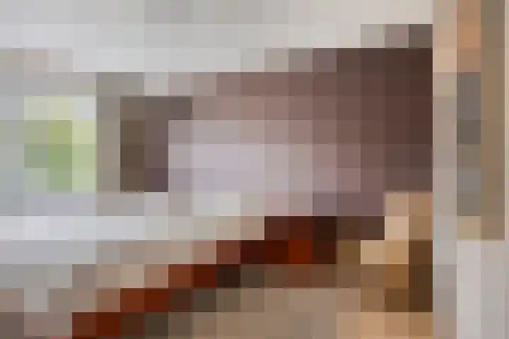 Oranjestraat 3 Venray thumbnail 24