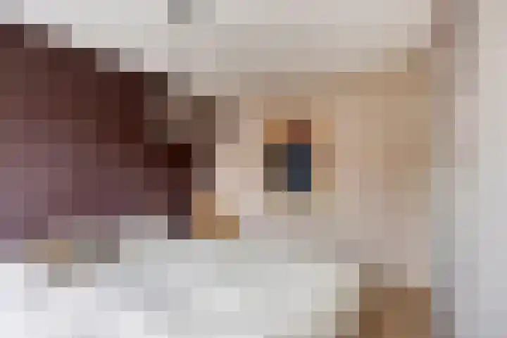 Oranjestraat 3 Venray thumbnail 25