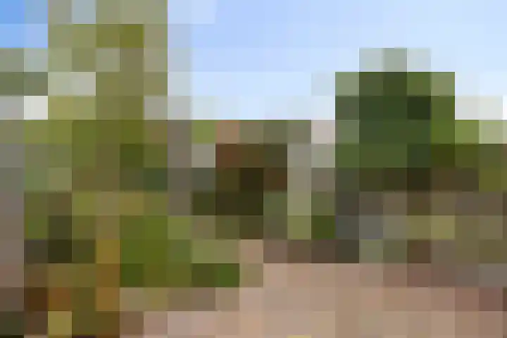 Oranjestraat 3 Venray thumbnail 33