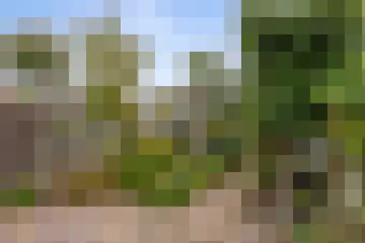Oranjestraat 3 Venray thumbnail 34