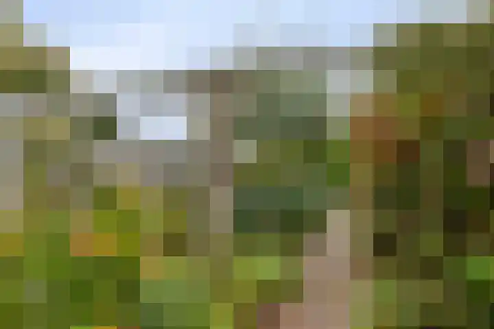 Oranjestraat 3 Venray thumbnail 35