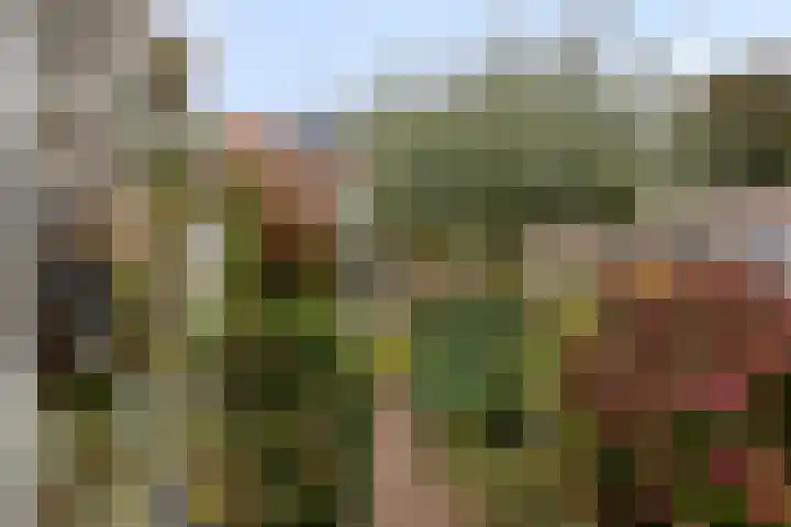 Oranjestraat 3 Venray thumbnail 36