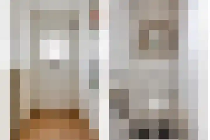Oranjestraat 3 Venray thumbnail 4