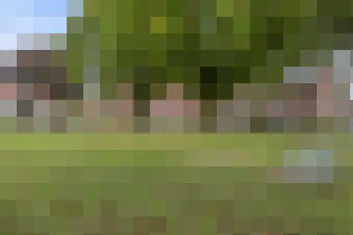 Oranjestraat 3 Venray thumbnail 45