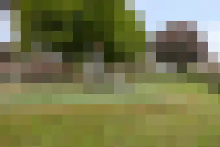 Oranjestraat 3 Venray thumbnail 46