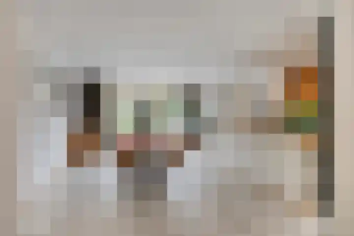 Oranjestraat 3 Venray thumbnail 9