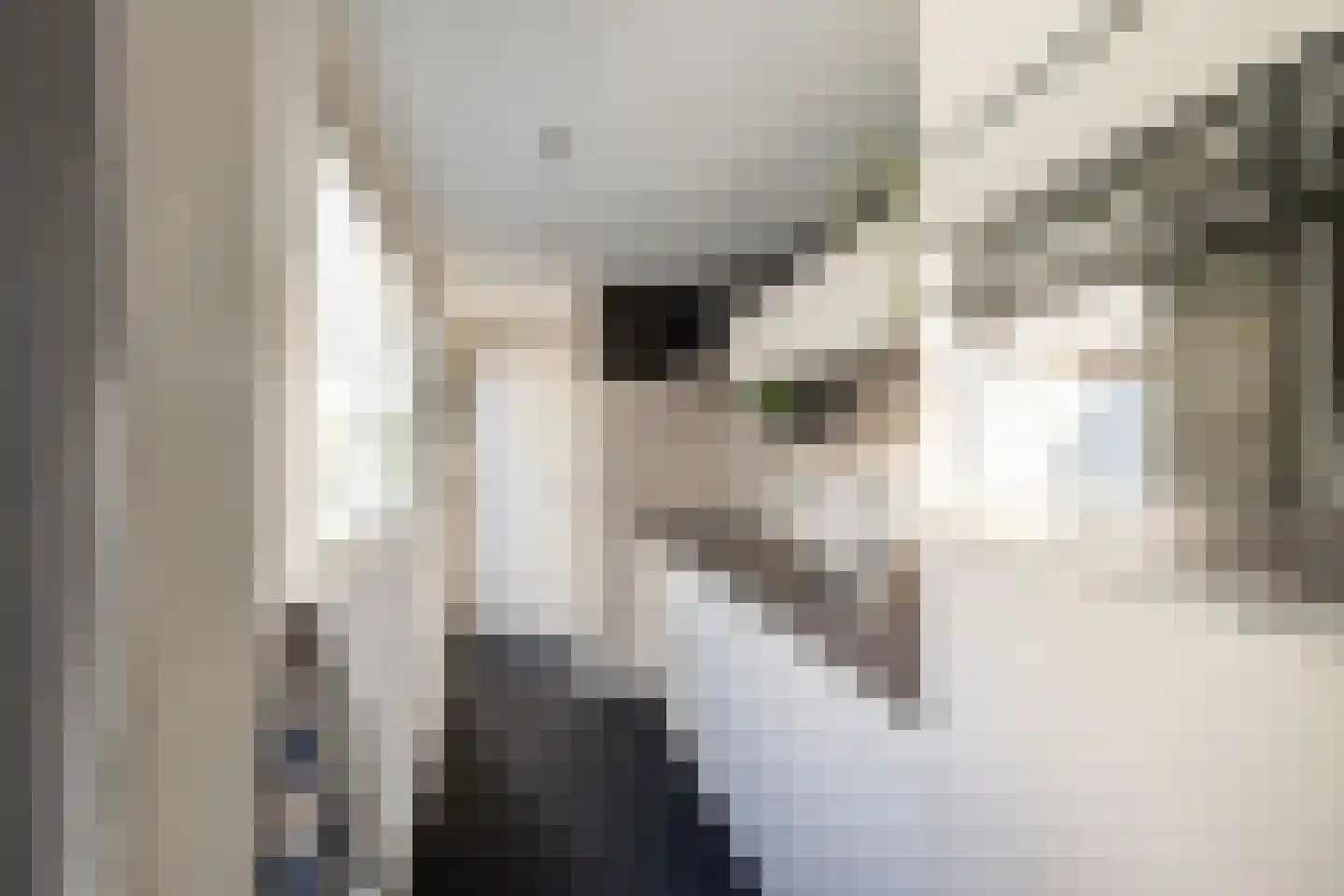 Oranjestraat 3 Vlaardingen thumbnail 17