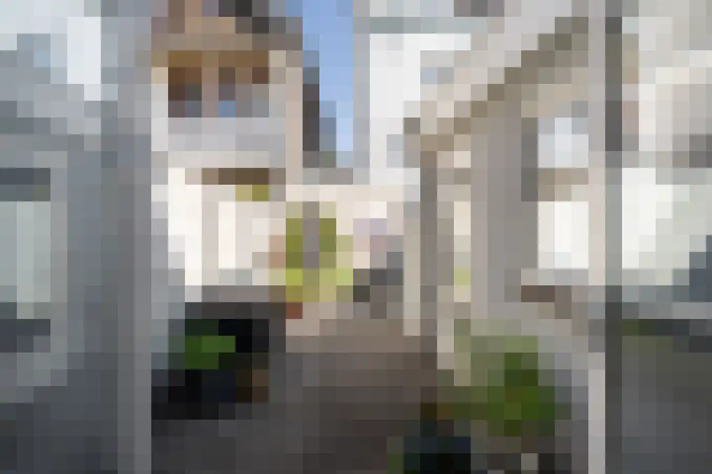 Oranjestraat 3 Vlaardingen thumbnail 19
