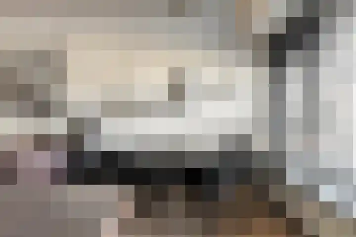 Oranjestraat 31 Schiedam thumbnail 4